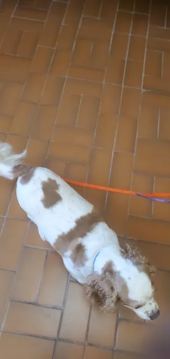 Oceanside Veterinary Hospital 6