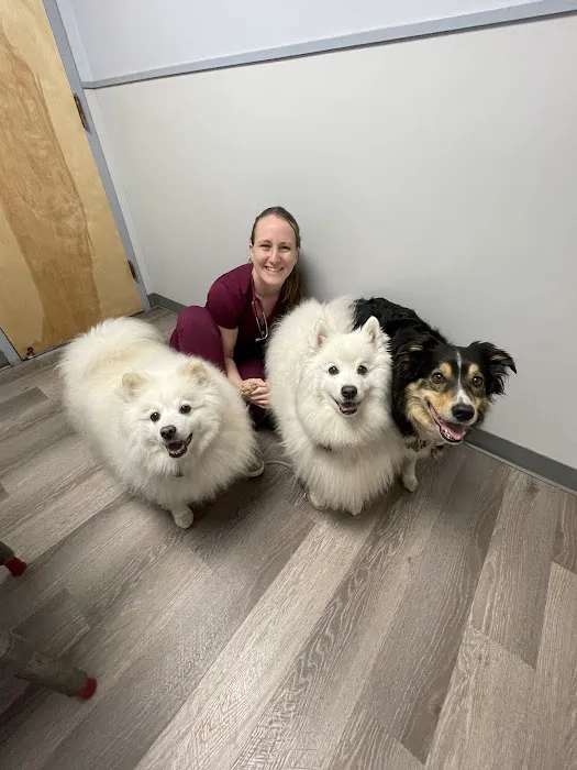 Baldwin Harbor Animal Hospital 1