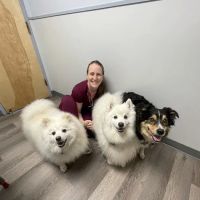 Baldwin Harbor Animal Hospital ico