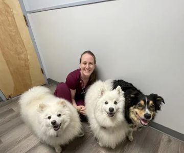 Baldwin Harbor Animal Hospital