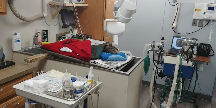 Baldwin Harbor Animal Hospital 6