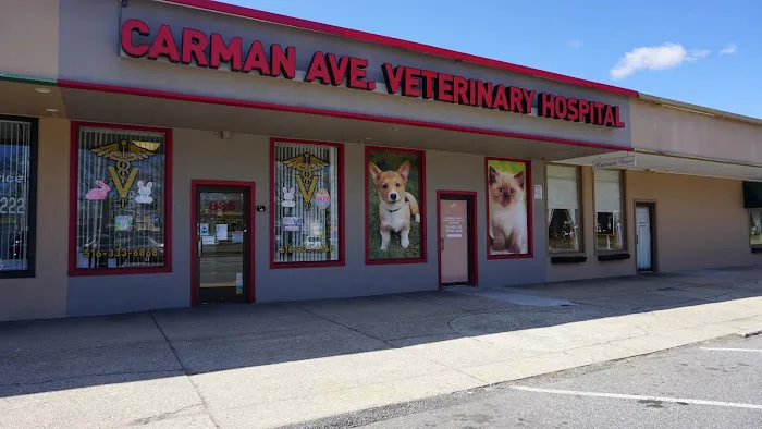 Carman Avenue Veterinary Hospital 12