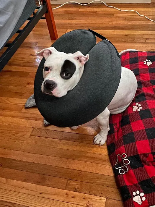 Helping PAW 5
