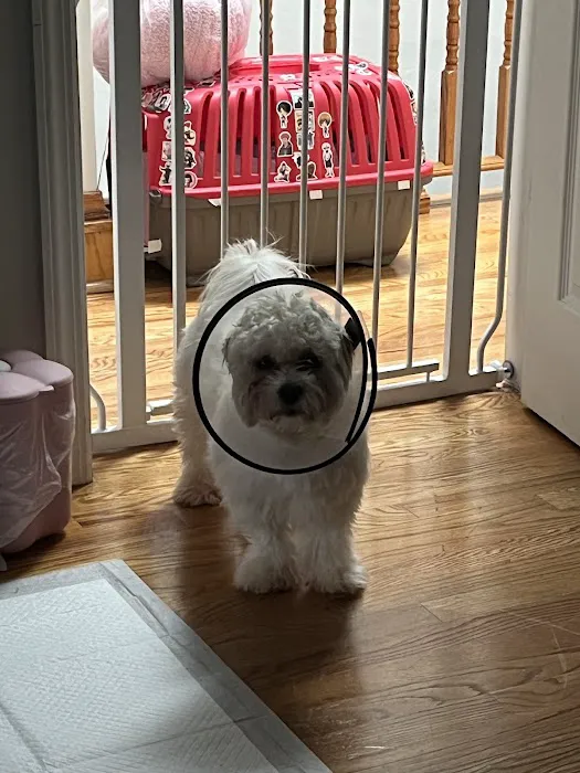 Helping PAW 8