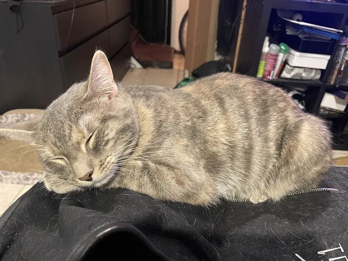 Helping PAW 10
