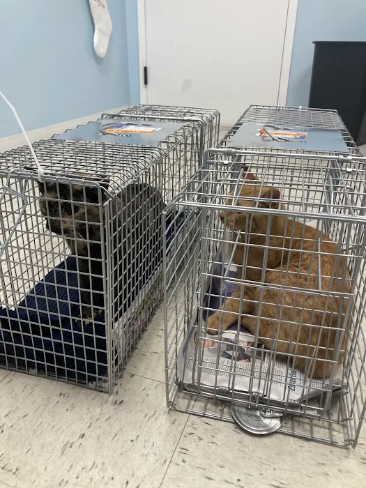 Helping PAW 9