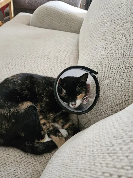Helping PAW 3