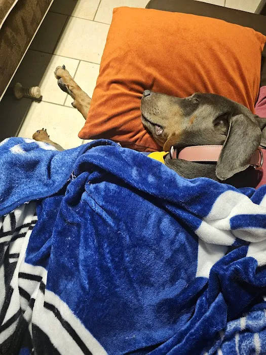 VCA Animal Hospitals 5