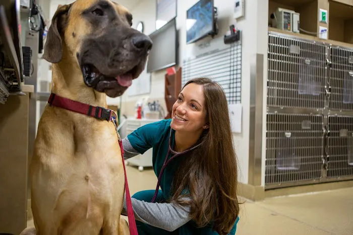 Veterinary Referral & Emergency Center of Westbury 12