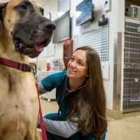 Veterinary Referral & Emergency Center of Westbury ico
