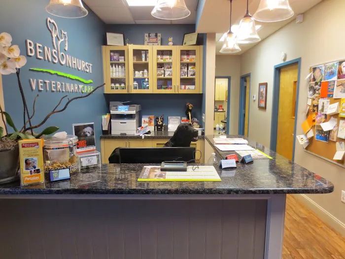 Bensonhurst Veterinary Care 3
