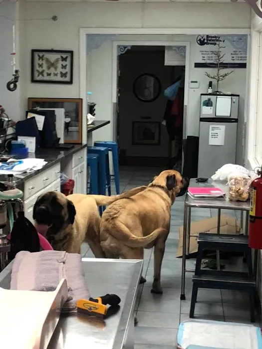 Brooklyn Veterinary Group 9