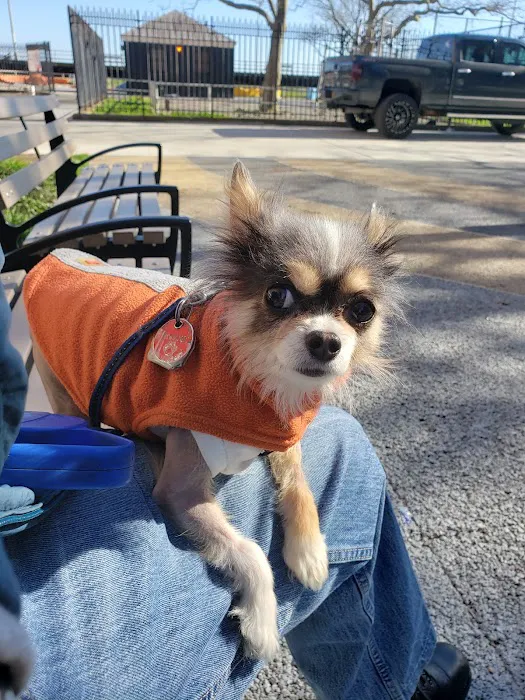 Brooklyn Veterinary Group 3