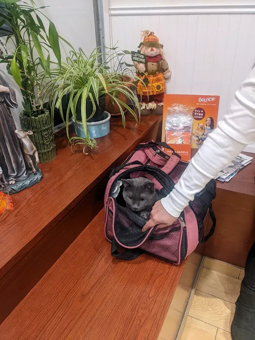 St Francis Animal Hospital 7