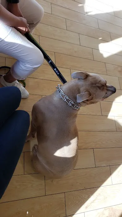 St Francis Animal Hospital 8
