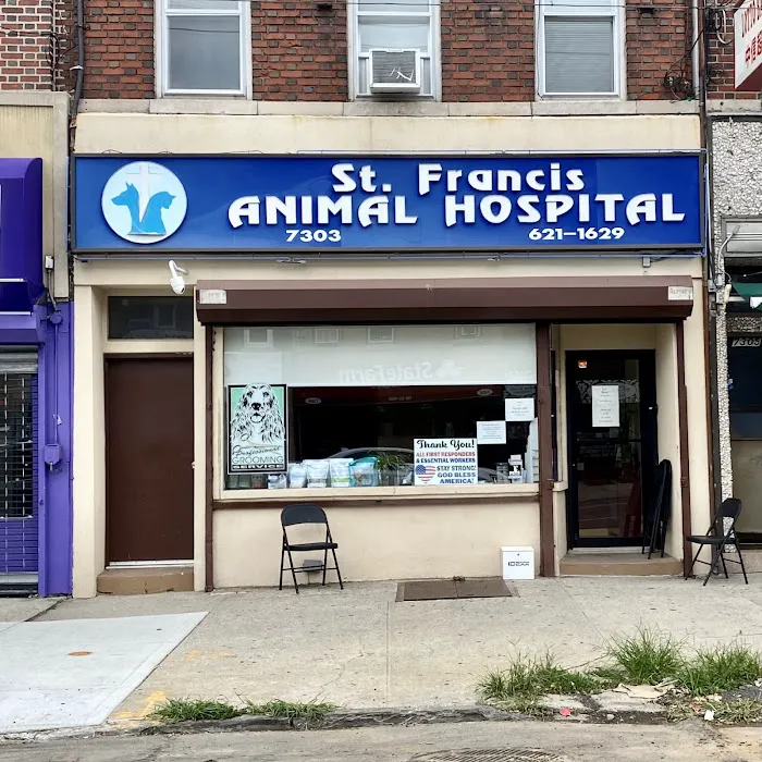 St Francis Animal Hospital 9