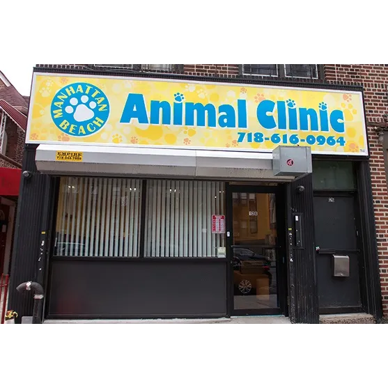 Manhattan Beach Animal Clinic 10