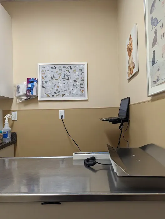 Dr. Jeffrey Z Stein 7