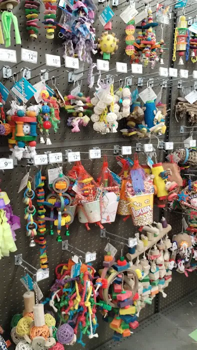 Petco 2