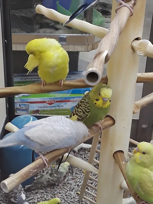 Petco 1