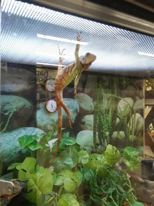 Petco 7