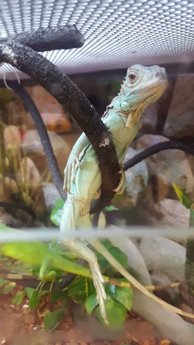 Petco 4