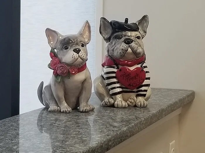 Small Friends Veterinary Clinic dr. Olga Korobkova 1
