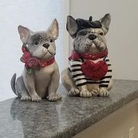 Small Friends Veterinary Clinic dr. Olga Korobkova ico