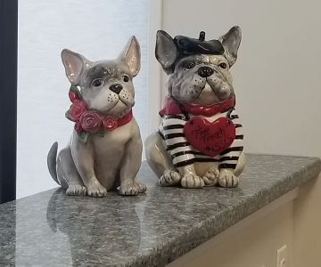 Small Friends Veterinary Clinic dr. Olga Korobkova