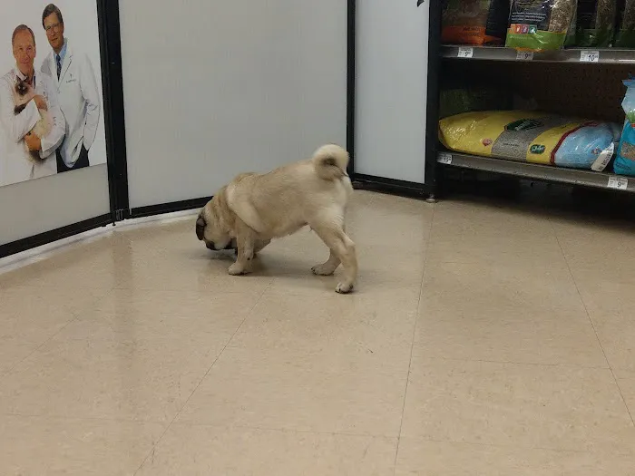 Petco Vaccination Clinic 12