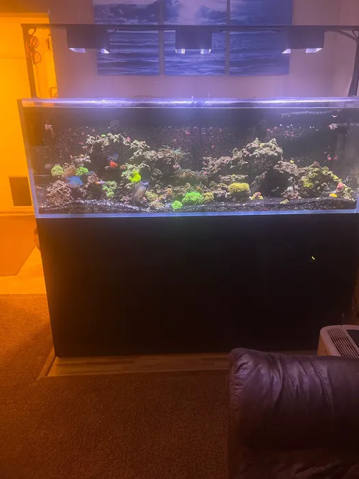 AquaCare LLC Aquarium Maintenance 1