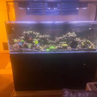 AquaCare LLC Aquarium Maintenance ico