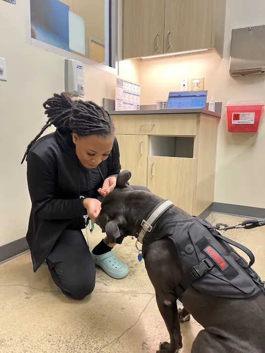 Vetco Total Care Animal Hospital 12