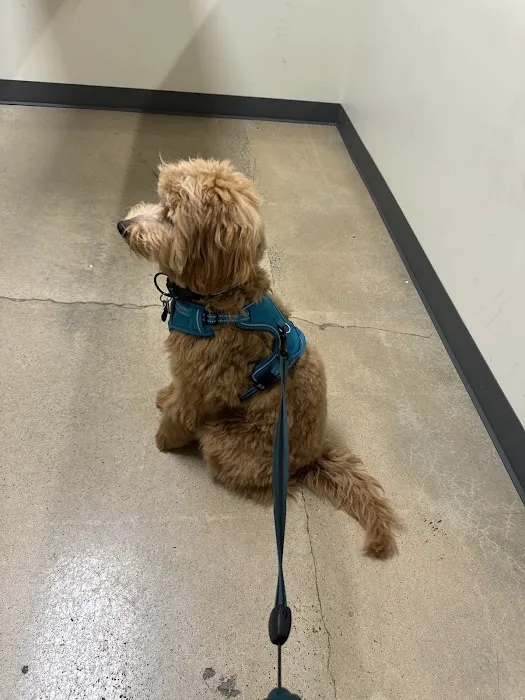 Vetco Total Care Animal Hospital 12