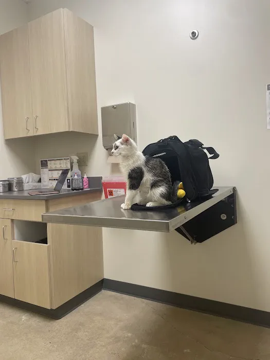 Vetco Total Care Animal Hospital 12