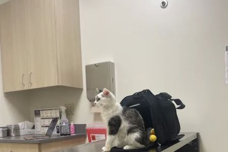 Vetco Total Care Animal Hospital