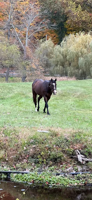 All Seasons Veterinarian Practice 12