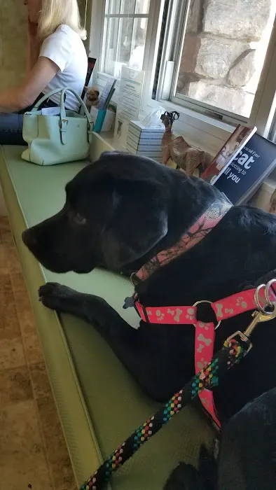 Pelham Animal Hospital 9