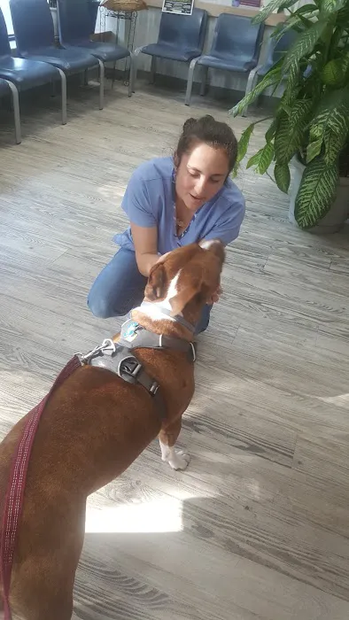 Manor Veterinary Clinic 12