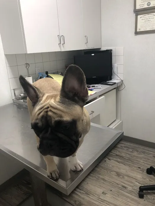 Manor Veterinary Clinic 12