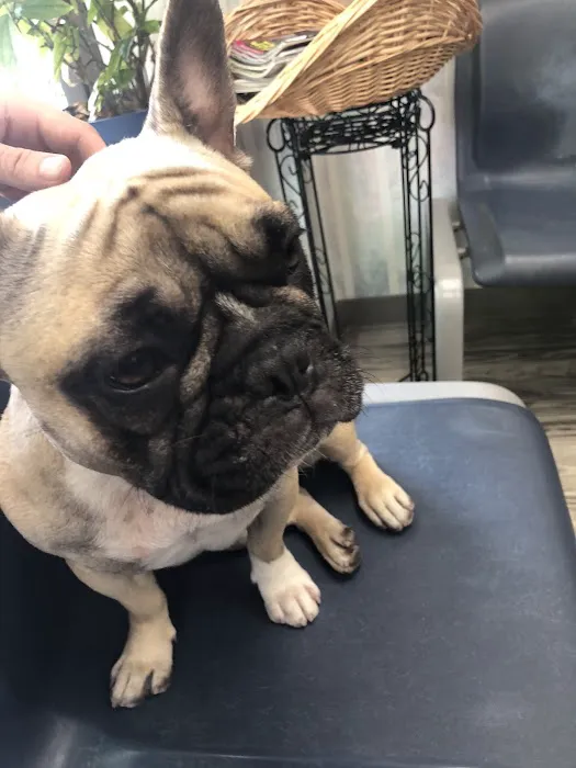 Manor Veterinary Clinic 12