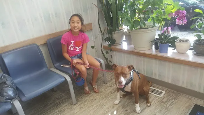 Manor Veterinary Clinic 12