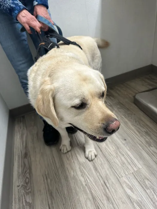 Manor Veterinary Clinic 12