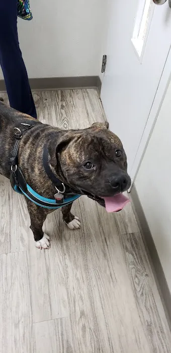 Manor Veterinary Clinic 12