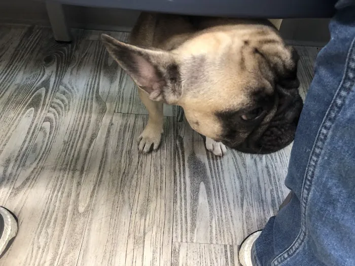 Manor Veterinary Clinic 12