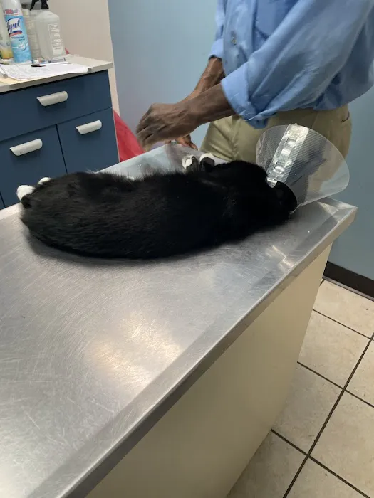 Dr Douglas’s Veterinary Services 12