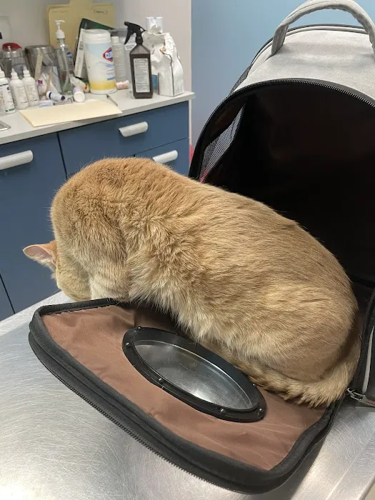 Dr Douglas’s Veterinary Services 12
