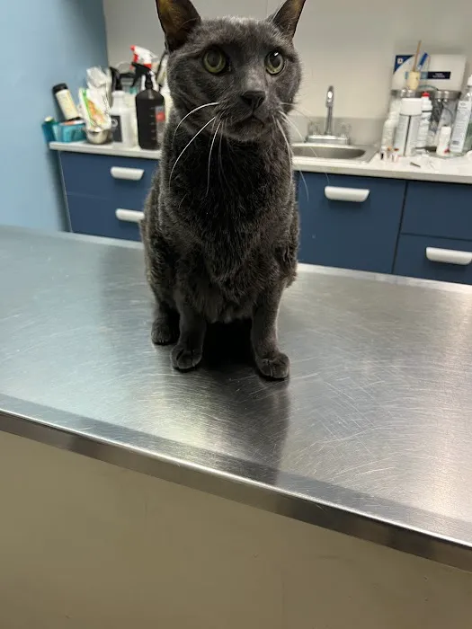 Dr Douglas’s Veterinary Services 12