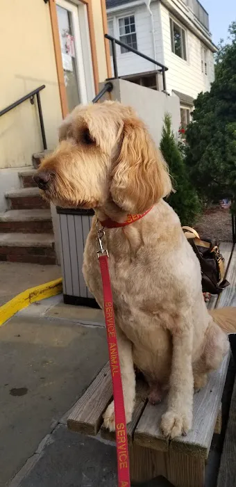 Westchester Animal Hospital 5
