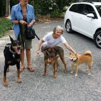 Englewood Cliffs Veterinary, PA ico